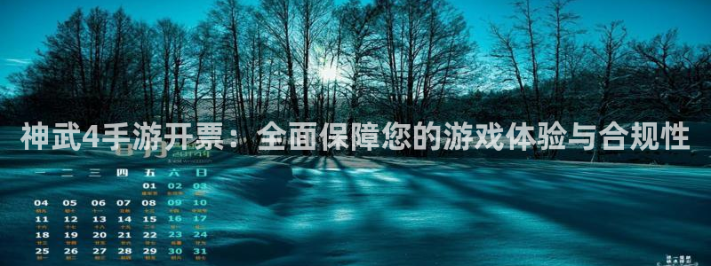 神奇的公式庄闲庄庄闲怎么使用：神武4手游开票：全面保障您的游