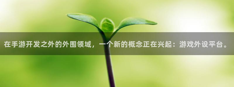 庄闲游戏APP 55.31MB