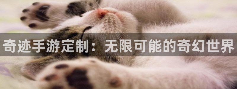 庄闲游戏免费：奇迹手游定制：无限可能的奇幻世界