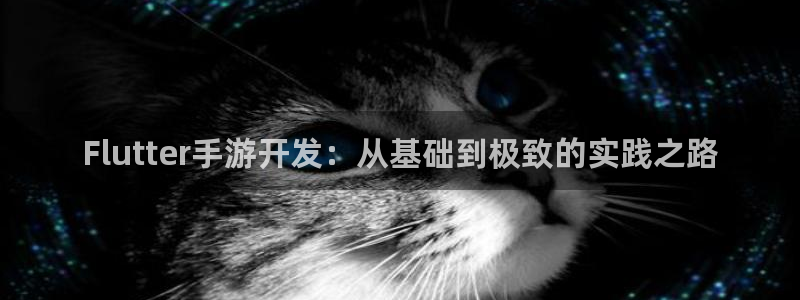 庄闲玩法叫什么名字：Flutter手游开发：从基础到极致的实