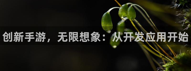 庄闲是什么赌法：创新手游，无限想象：从开发应用开始