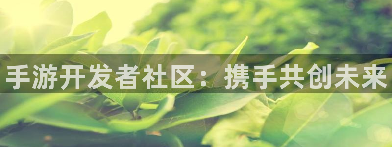 庄闲游戏提现：手游开发者社区：携手共创未来