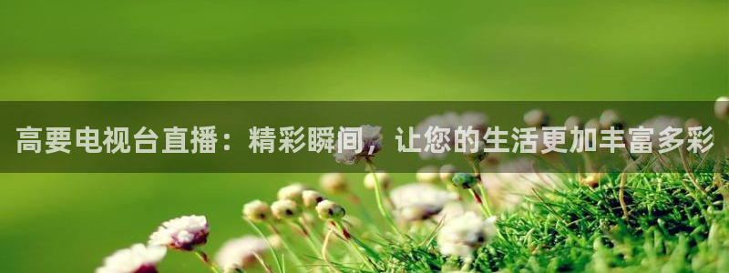 新闻图片