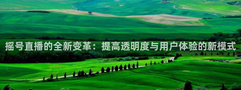 nba直播吧小九直播：摇号直播的全新变革：提高透明度与用户体验的新模式