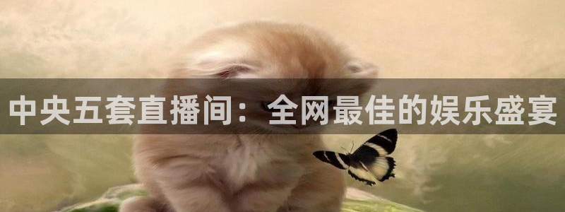 nba小九直播免费观看直播在线：中央五套直播间：全网最佳的娱乐盛宴