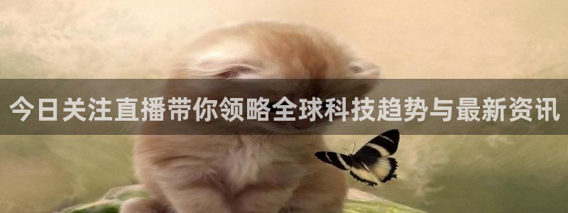 nba直播免费观看直播在线小九直播