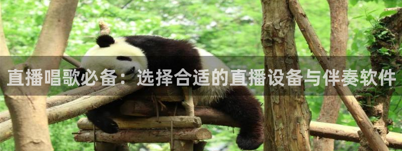 小九体育直播平台：直播唱歌必备：选择合适的直播设备与伴奏软件
